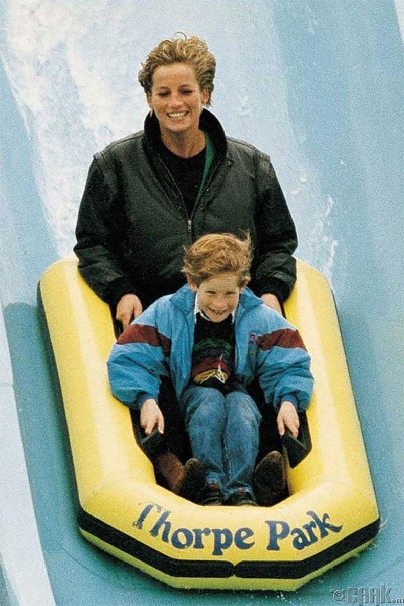 Диана гүнж хүү Харригийн хамт, 1993 он.
