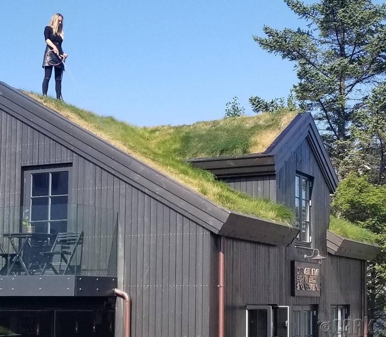 Ногоон дээвэртэй иймэрхүү байшингууд Исландад хаа сайгүй тааралдана