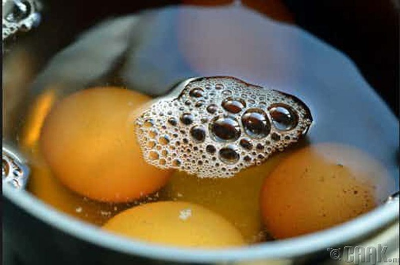 Шээстэй өндөг