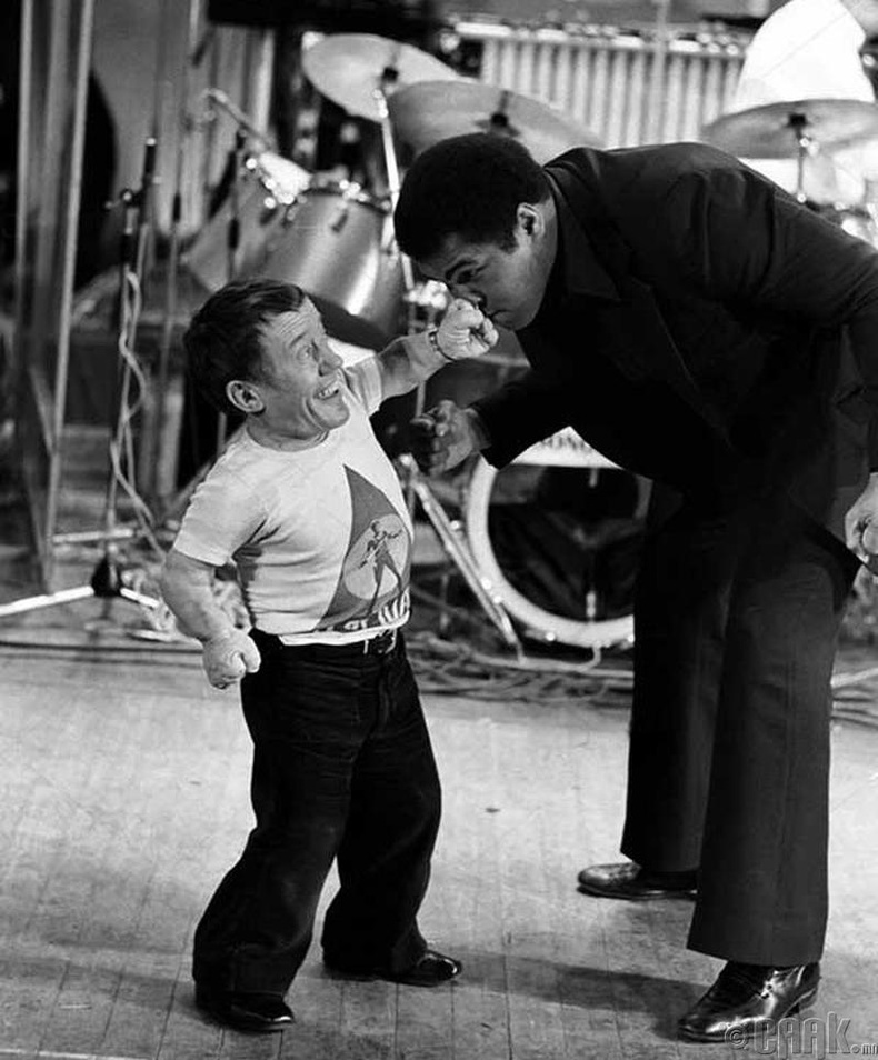 Жүжигчин Кенни Бэйкер (Kenny Baker), боксын аварга Мухаммад Али (Muhammad Ali) нар - 1979 он