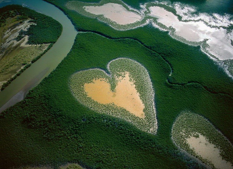 Зүрхэн хэлбэртэй ойн чөлөө - Шинэ Каледони