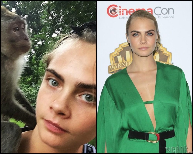 Кара Делевинь (Cara Delevingne)