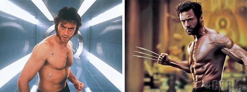 Wolverine - 2001/2013