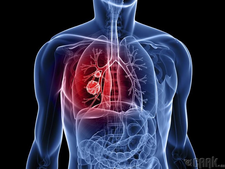 Уушгины эрүүл мэнд