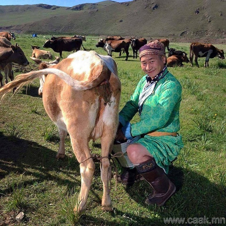 Монгол элдэв зураг (90 фото) №35
