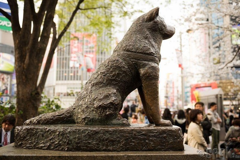 "Hachi: A Dog's Tale"