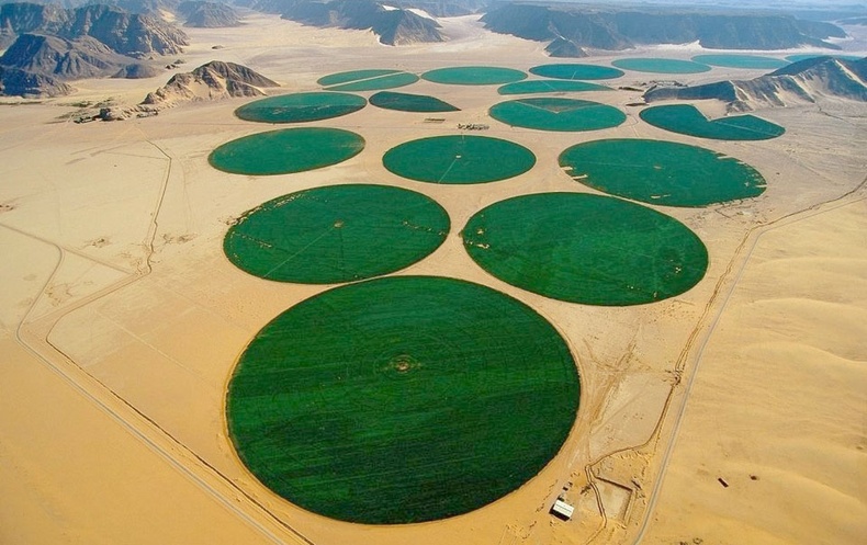 Саудын Араб хөрс, усны нөөцгүй мөртлөө хэрхэн хөдөө аж ахуйн гол үйлдвэрлэгч орон болсон бэ?