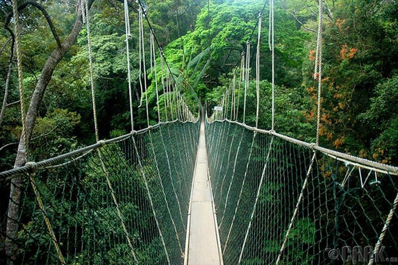 Taman Negara National Park (Малайз улс)