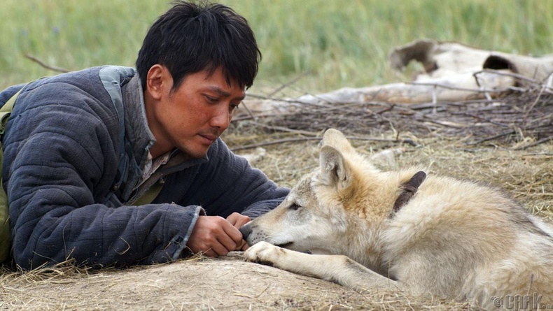 "Чонон сүлд" (Wolf Totem)