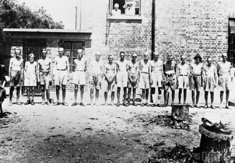 Японы хорих лагерт долоон хүнийг яргалан алжээ