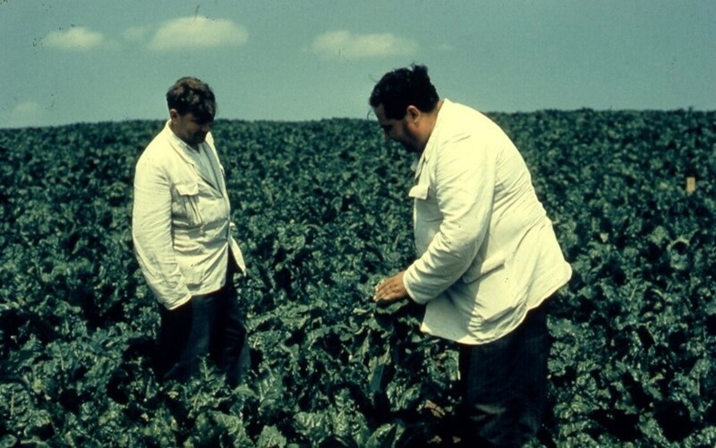 Ургац хураахын өмнө - 1957 он