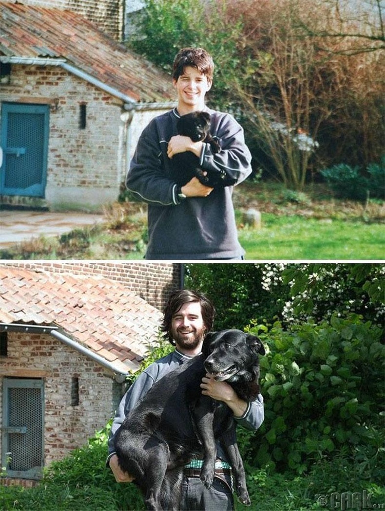 Хайртай нохой нь 10 жилийн дараа ийм том болжээ