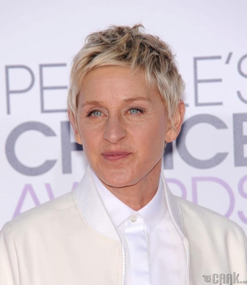 Эллен ДеЖенерес (Ellen DeGeneres) - 75.1 сая доллар