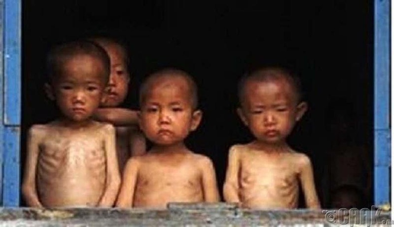 Өлсгөлөнгөөс болж олон сая хүүхдүүд амь насаа алдаж байгаа