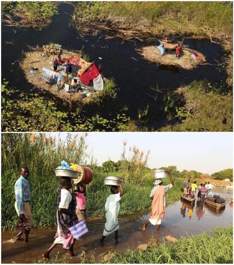 Люди живут на болотах. Судд Южный Судан. Болота Южного Судана. Южный Судан озеро судд. Болота Африки.