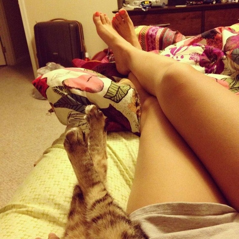 "Муур бид хоёр хөлөө зөрүүлж хэвтэх дуртай"