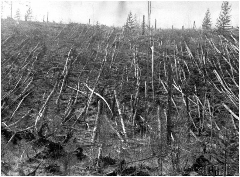 Тунгусын (Tunguska) дэлбэрэлт