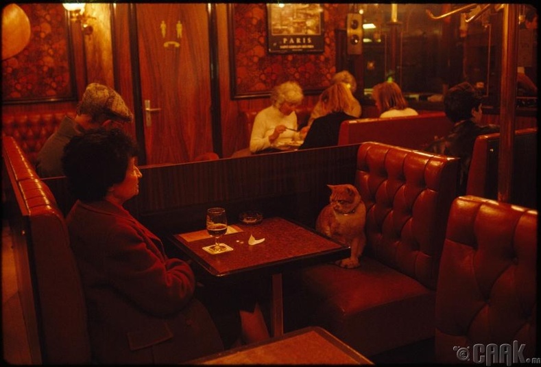 Мууртайгаа кафед суугаа эмэгтэй, 1988 он