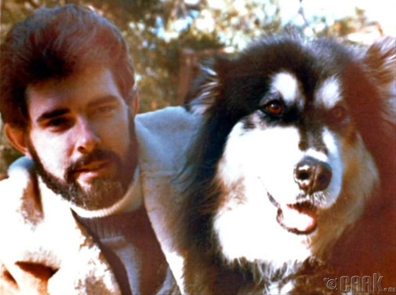 "Оддын дайн" киноны найруулагч Жорж Лукас Индиана хэмээн нэрлэдэг байсан нохойгоо Чубакка дүрийн прототип болжээ