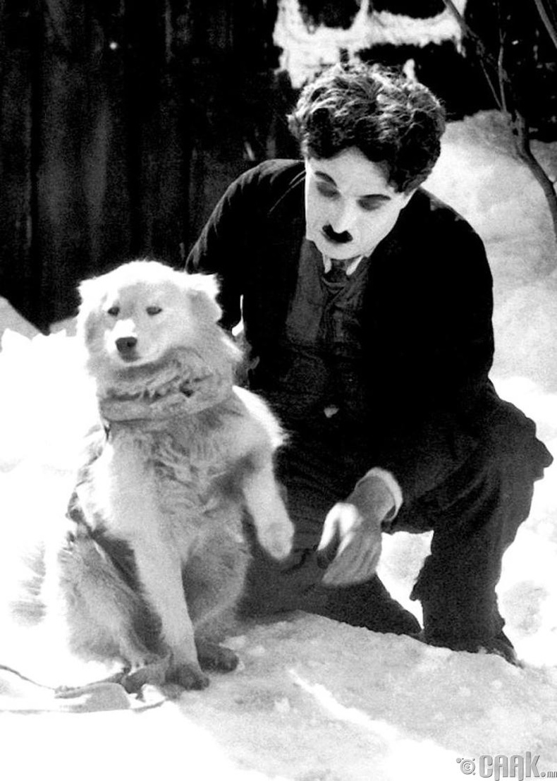 Жүжигчин Чарли Чаплин (Charlie Chaplin) - 1925 он