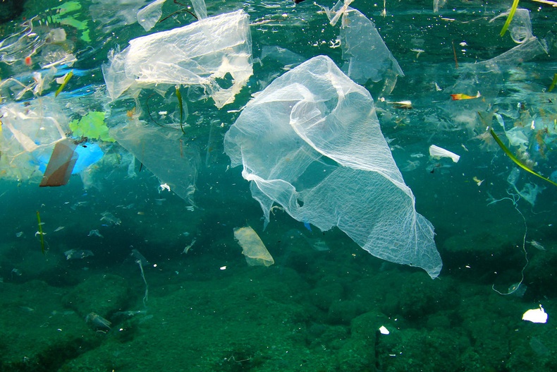 Далайд хаясан хуванцар хог хаягдлууд чухам хаачдаг вэ?