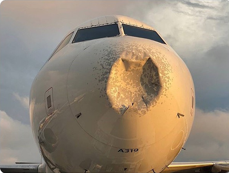 Delta компанийн онгоц шувуутай мөргөлдөж, ослын буулт хийсний дараа