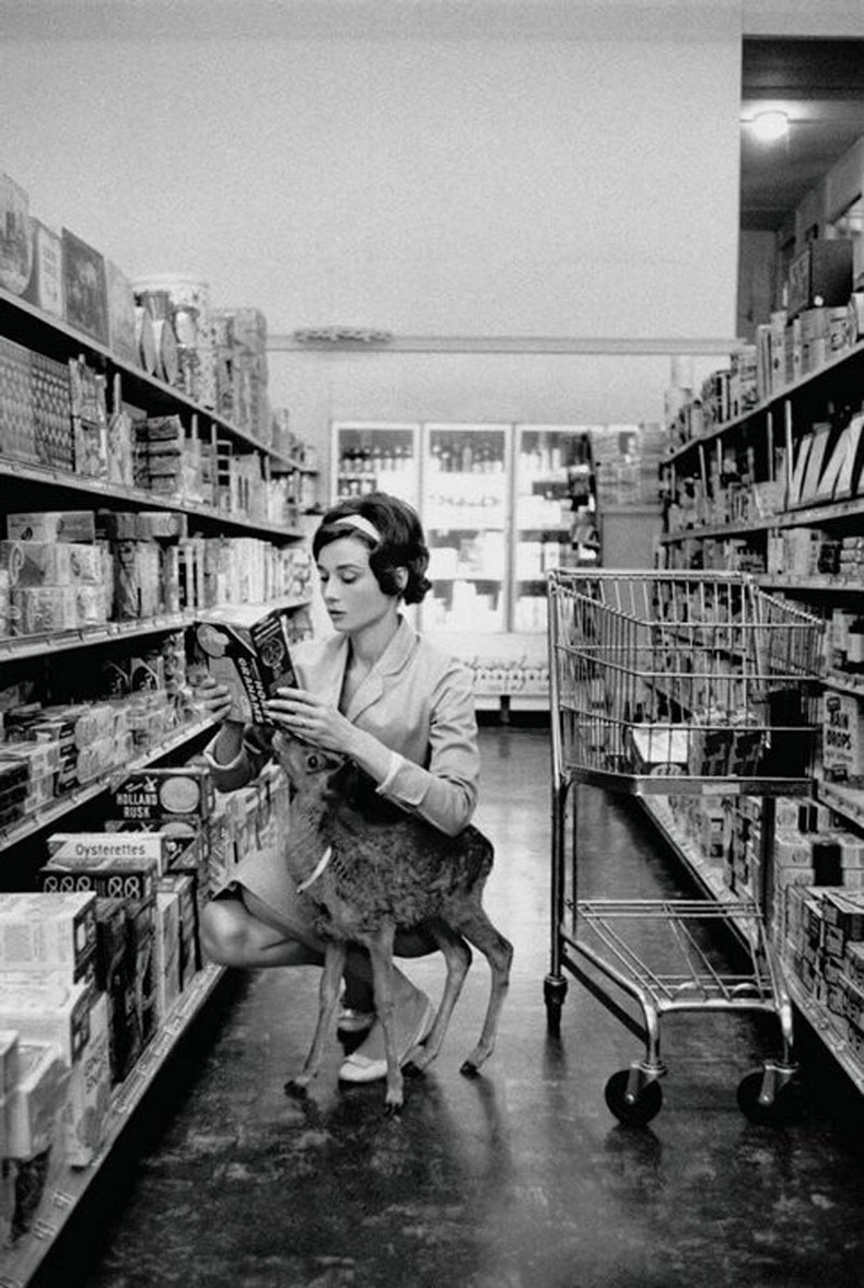 Жүжигчин Одри Хепбурн (Audrey Hepburn) тэжээвэр янзгынхаа хамт дэлгүүрт - 1958 он