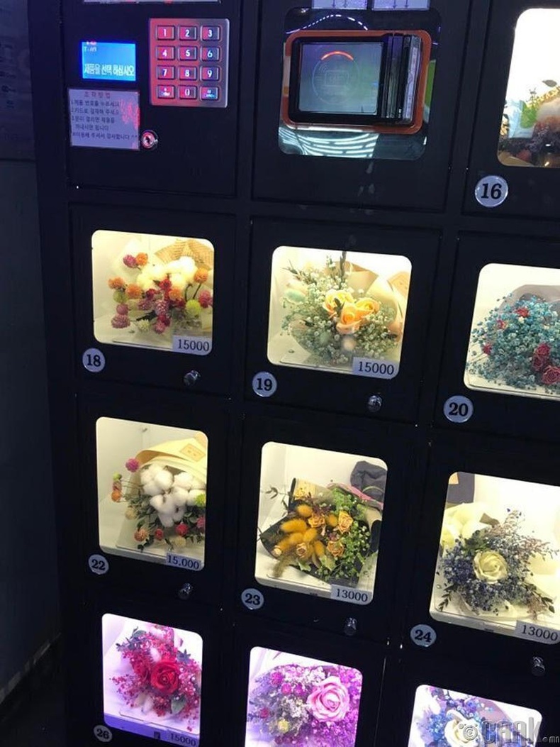 Сөүл дэх цэцгийн автомат дэлгүүрээс үргэлж шинэ цэцэг авч болно