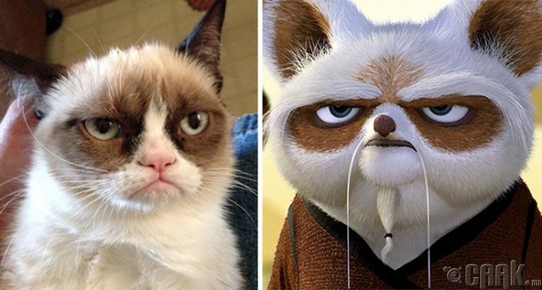 "Kung Fu Panda" - "Master Shifu" болон ууртай муур