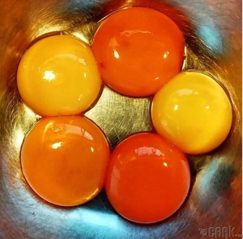 Өндөгний шараас тухайн өндөгний чанар хамаарахгүй