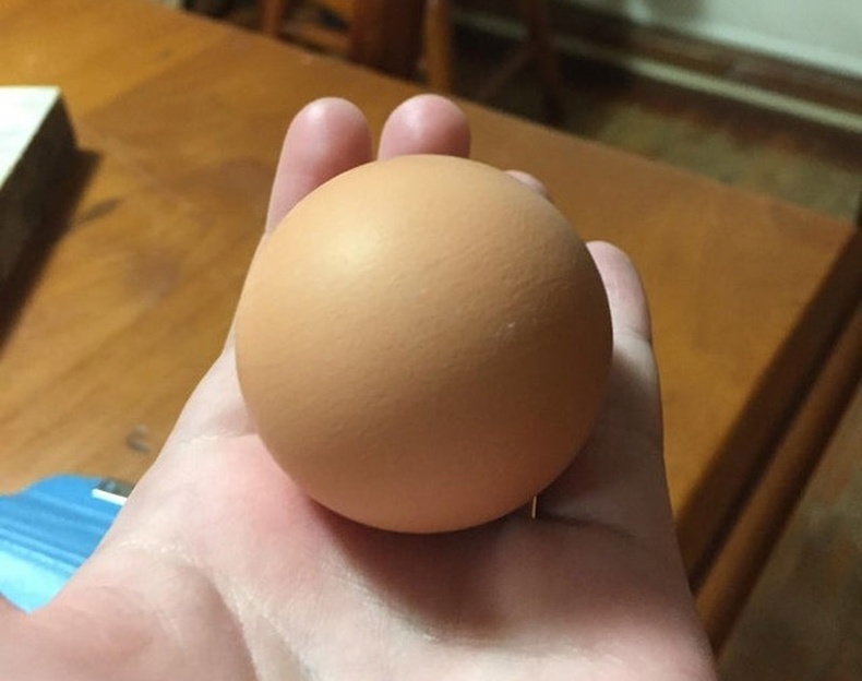 Энэ бөмбөг биш харин өндөг