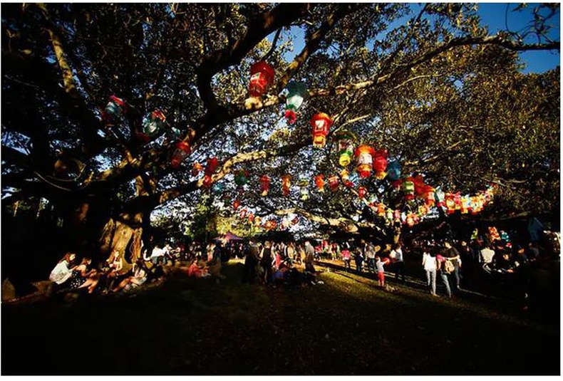 Шинэ Зеланд: 2015 оны 2-р сарын 27-нд Альберт цэцэрлэгт хүрээлэнд зохиогдсон Оклендын дэнлүүний баяр