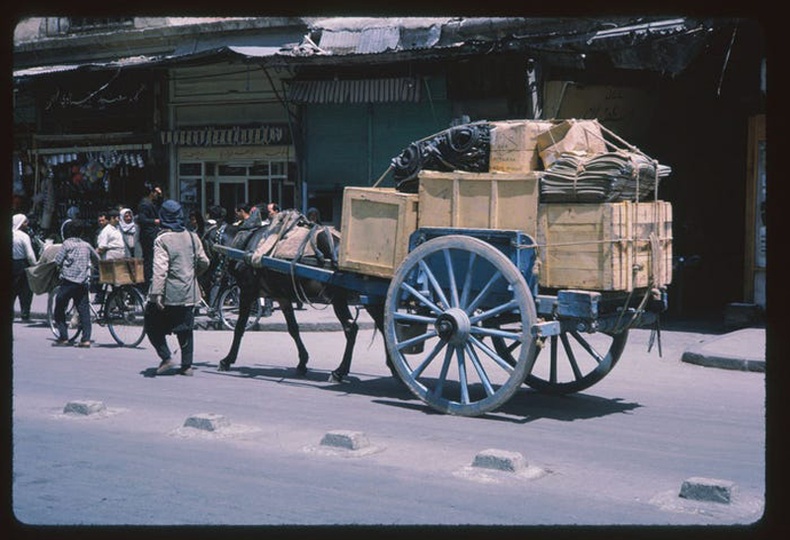 60-аад оны үед Сирид мал амьтныг уналга, тээвэрт ашиглах нь түгээмэл байв