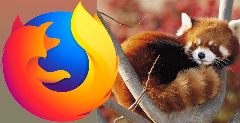 Firefox-ийн лого нь бол үнэг биш харин улаан панда аж