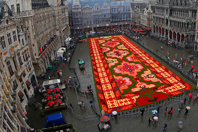 Бельгичүүд гайхалтай цэцгэн хивс бүтээжээ