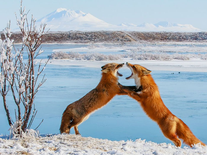 National Geographic-ийн 7 сарын шилдгүүд 