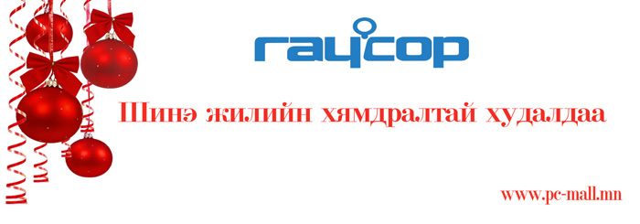 Шинэ жилийн шилдэг бэлэг RAYCOP